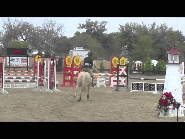 Steal the Sunshine: Level 1 Jumpers at HITS Ocala