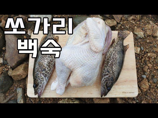 쏘가리 잡아서 보양식 백숙 해먹기 /쏘가리낚시/백숙/초짜낚시