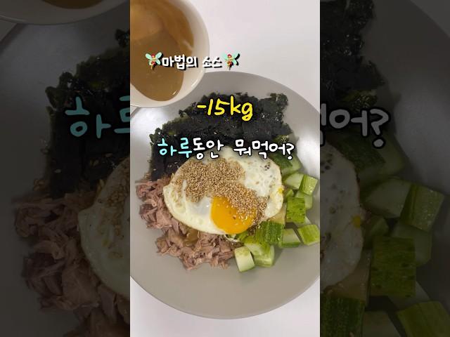 60kg로 돌아가지 않기 위한 식단 일기
