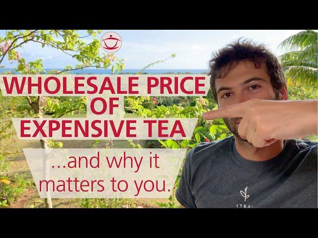 Tea Expert Explains the Wholesale Price of Expensive Tea