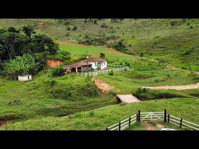 LINDO SÍTIO COM 8,3 HECTARES DE MUITA NATUREZA NO INTERIOR DE MINAS GERAIS #sitio #minasgerais