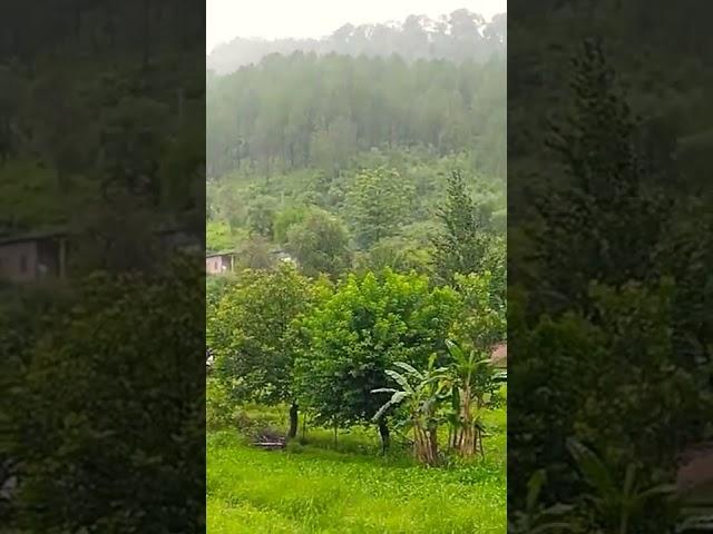 #rainy season #ARSLAN jani