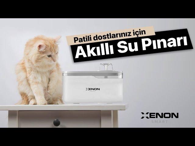 Akıllı Su Pınarı