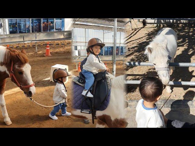 설레는 마음으로 말타러 갔어요 말 처음 타보는 노유진 과연?? #22개월 #포니힐링농장