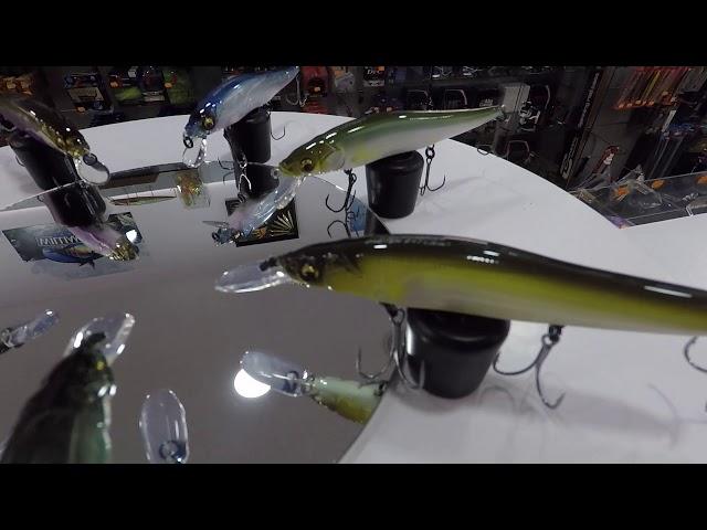 Vision Oneten Entrada Spanish Lures