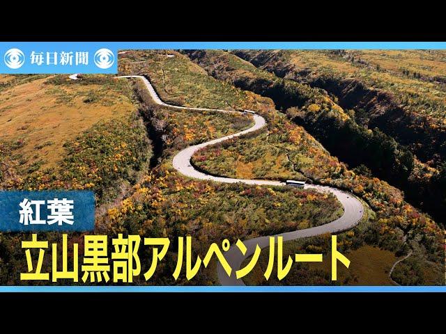 秋の絶景　立山黒部アルペンルートの紅葉見ごろ　例年より色づき遅く