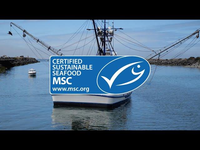 Marine Stewardship Council (MSC) - Explained