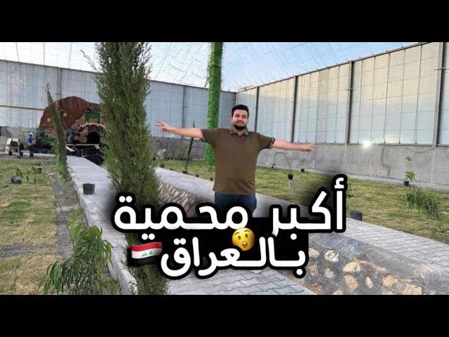 اكبر محمية طيور بالعراق / مراحل بناء المحمية