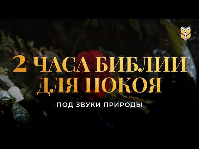 2 часа Библии для покоя под звуки природы. Современный перевод Библии #biblevision