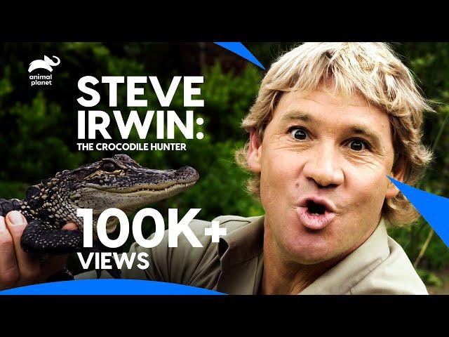 The Best of Steve Irwin - The Crocodile Hunter | Best Moments | Animal Planet
