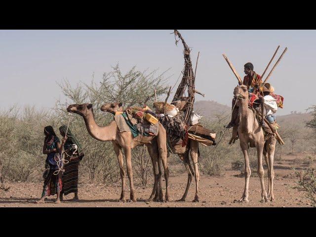 Amazing Mat Tents of North Ethiopia - Danakil Desert Dwellers