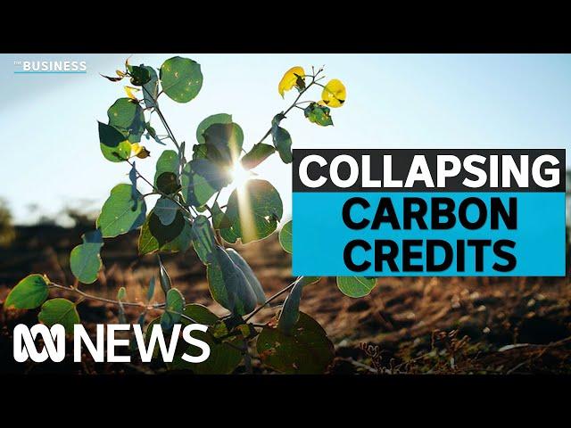 Government decision crashes carbon market | The Business | ABC News