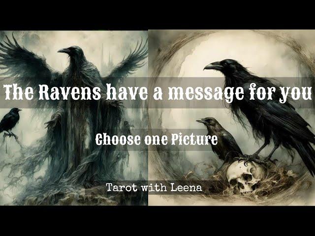 A message from the RAVENS  | Pick an Image | Tarot with Leena