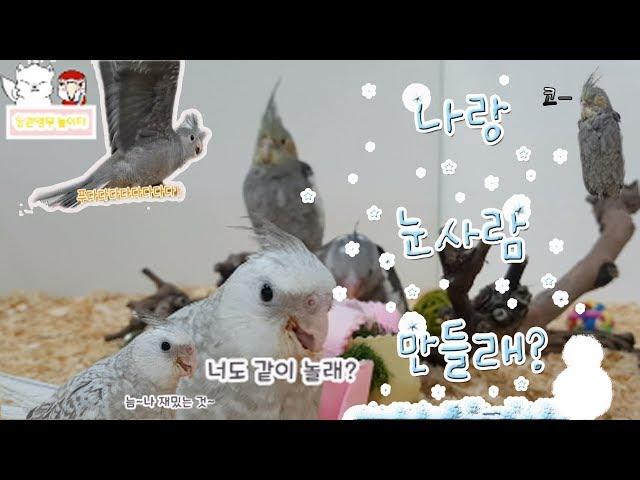 What if a charming parrot comes in?