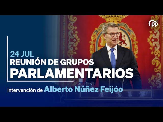 Feijóo preside la reunión de los grupos parlamentarios del Partido Popular