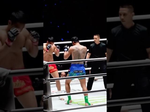 Amazing Elbow Knockout | Thai Fighter