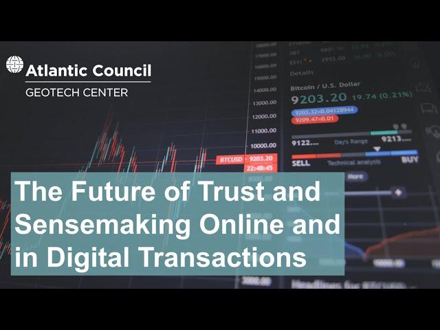 The Future of Trust and Sensemaking Online and in Digital Transactions