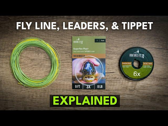 Fly Line, Leader, and Tippet 101 — Fly Fishing Gear for Beginners | Module 4, Section 1