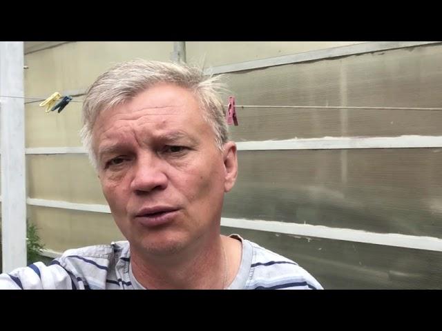 Прогноз на матч чемпионата Европы, Дания-Финляндия.
