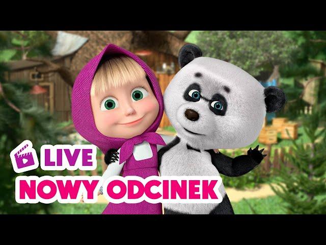  NA ŻYWO  Nowy odcinek  Pudło zabawy  Masza i Niedźwiedź  Masha and the Bear