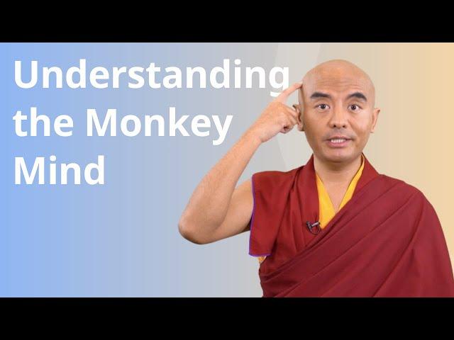 Understanding the Monkey Mind with Yongey Mingyur Rinpoche