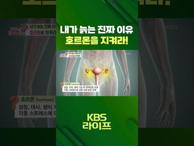 내가 늙는 진짜 이유‍호르몬을 지켜라️ [무엇이든 물어보세요] | KBS 방송