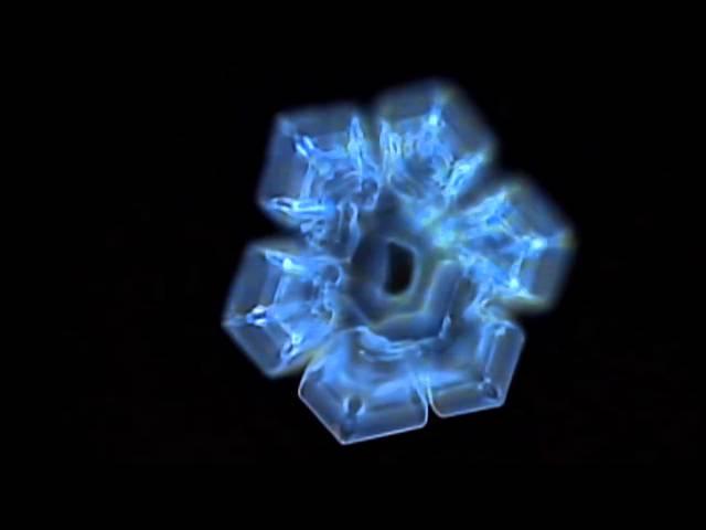 Masaru Emoto's Experiment in Gratitude