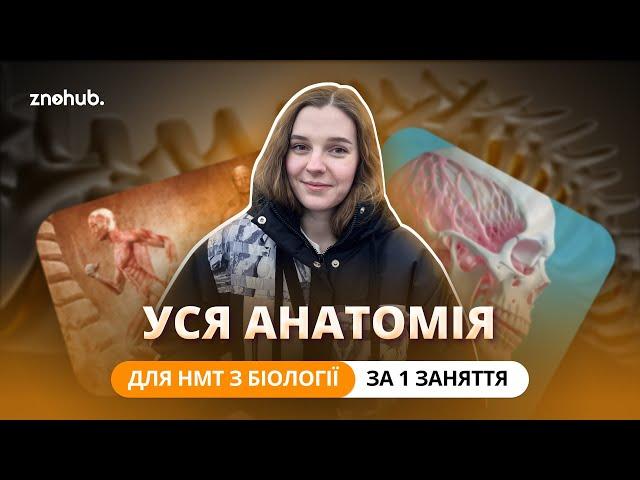 Уся анатомія для НМТ з біології за одне заняття