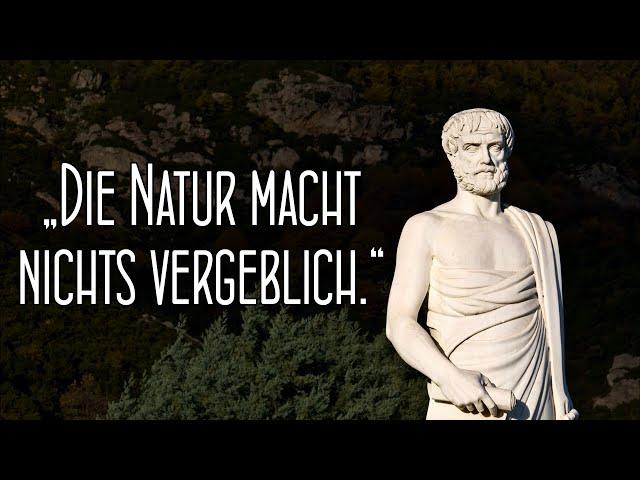 Aristoteles-Zitate, Die Jeder wissen sollte! | Zitate, Aphorismen, Weise Gedanken