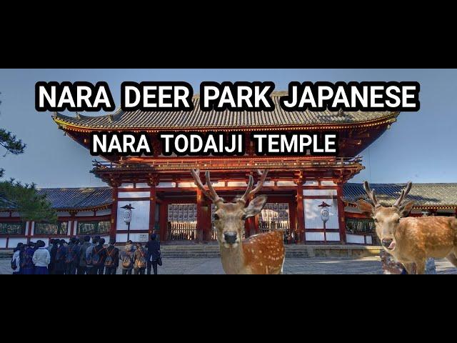 NARA PARK JAPAN