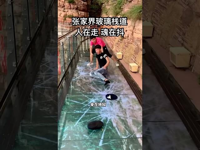张家界玻璃栈道-人在走 魂￼在抖 #摄影 #旅游 #推荐 #美景 #热门 #正能量