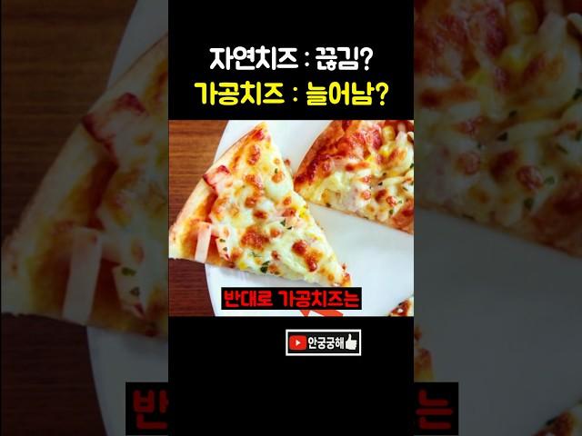 가짜치즈 피자 구별방법 ㄷㄷ