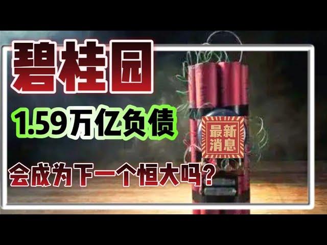 国内第一大房地产商碧桂园退出标普评级，无法在融资，1.65万亿负债会成为下一个恒大吗？国内地产冬天还有多久？