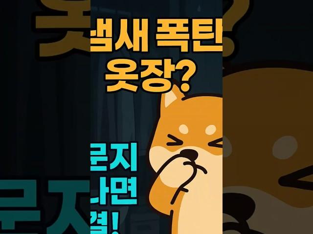 옷장에서 쉰내 나죠?  신문지·숯·티백이면 끝!  문도 하루 한 번 열어두세요  #장마철팁 #옷장냄새OUT
