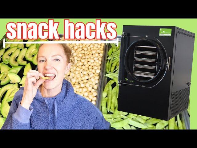 Unbelievable Freeze Dried Snack Hacks for a Healthy Lifestyle