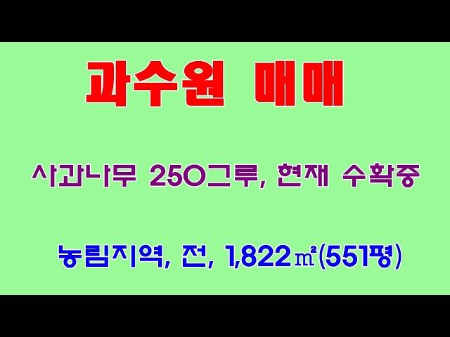 828. 사과 과수원 매매(포항시 북구 기계면인비리)