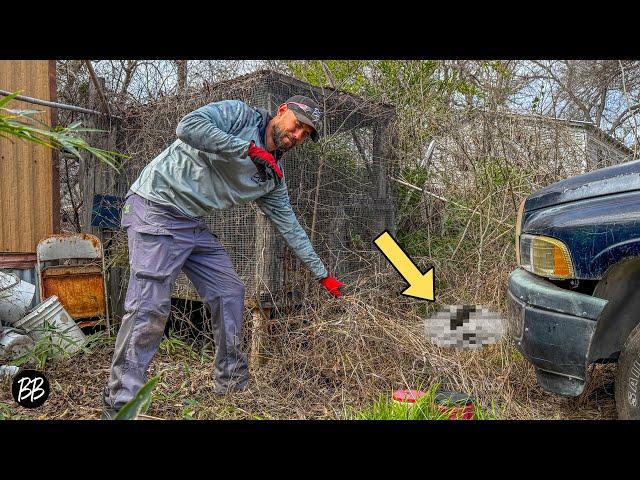 SHOCKING Find on this FREE Yard Transformation!