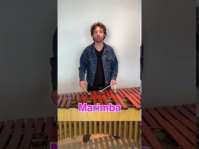 "Opening" iPhone Ringtone on 4 Different Mallet Instruments