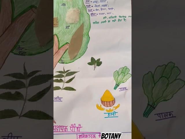 Manav Jivan Pr Paudho Ka Prabhav.. #tlm #education #tlmideas #teaching