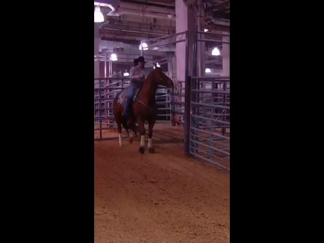 Fastest barrel racing time Rodeo Houston