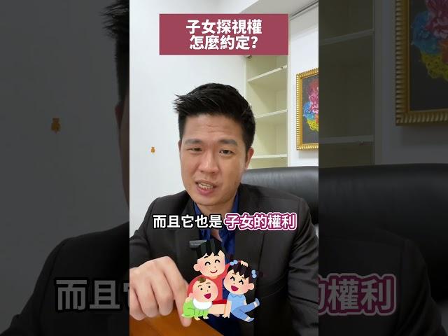 子女探視權怎麼約定？#湛址傑 #流氓律師 #法律