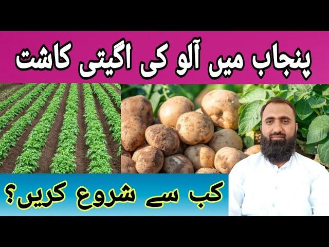 Potato Sowing Time in Punjab Pakistan || Bilal Kanju Official