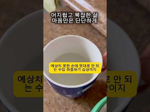 단단한 마음을 가지고 살면 다 OK! #40대브이로그 #미국생활 #직장생활 #삶의지혜
