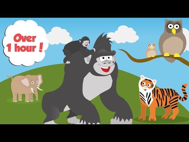 Zoo Animals For Toddlers | Learn Counting, Colours and Days of the Week