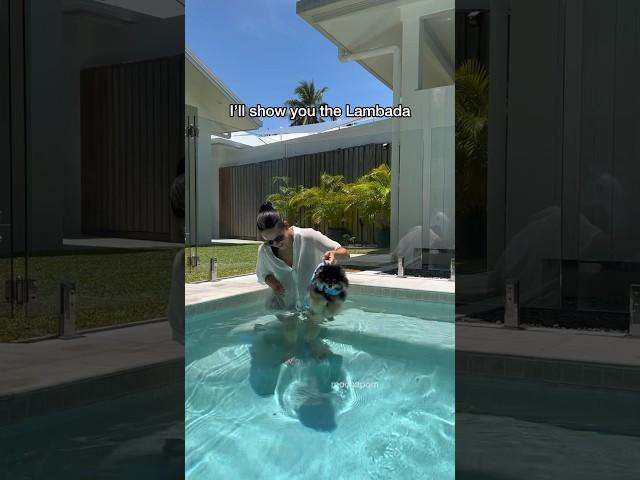 Cute Pomeranian Swims For the First Time!  #pomeranian #shorts #swimmingdog #dog