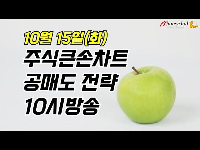 1015 주식큰손차트