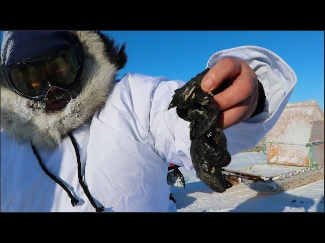 Charlie Takatak, Sharing Knowledge - Sanikiluaq