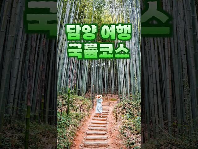 담양 가면 꼭 가야 하는 여행 코스 국내여행지 추천, 죽녹원, 메타세콰이어길 등 담양 가볼만한곳!