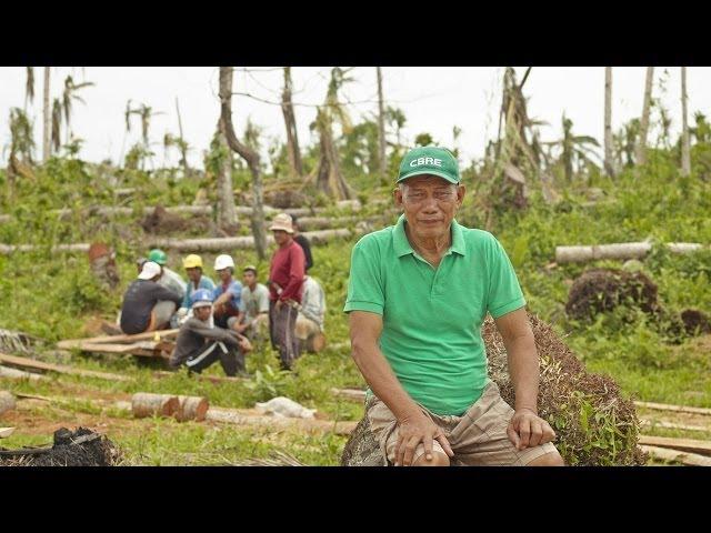 Coconut farming in the Philippines