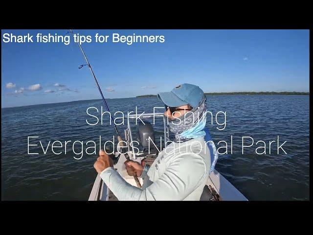 Secrets to Successful Shark Fishing   #sharks #fishing #sharkweek